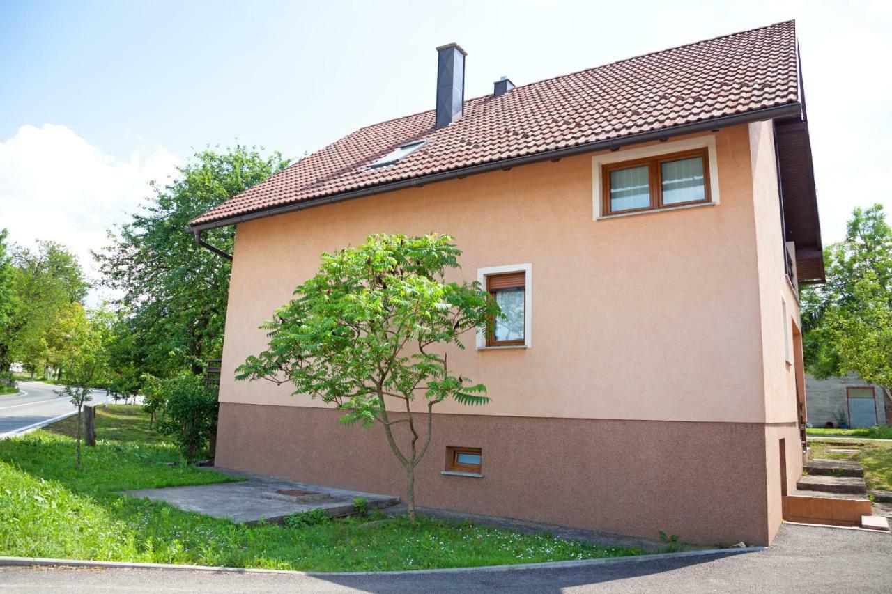 Apartment Majetic Gornji Vaganac エクステリア 写真